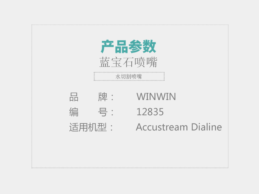 Accustream-Dialine-蓝宝石喷嘴-12835_01.jpg